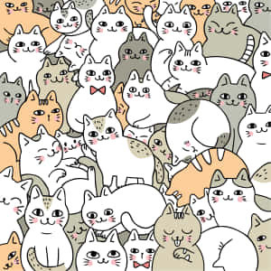 รูปแมวน่ารัก — แมวน่ารัก วอลเปเปอร์