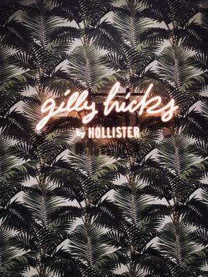 วอลเปเปอร์ใบปาล์ม Hollister — 3:4 วอลเปเปอร์