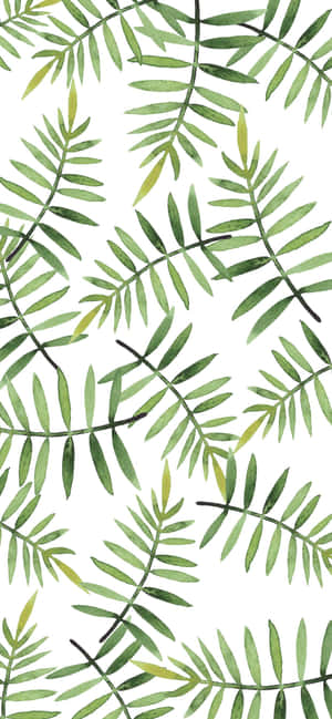 Cute Leaves — หัวเว่ย โนวา 16 วอลเปเปอร์